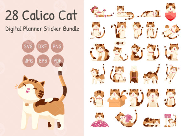 Cute Calico Cat Review for Real Embroidery Work